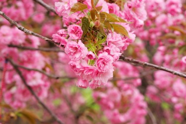 无锡江阴线下个人借款平台一站式服务，轻松解决资金难题