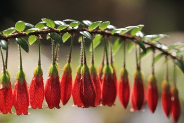 无锡江阴零用贷短借：轻松解决临时资金需求