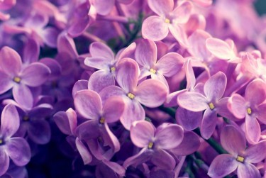 无锡江阴企业急用钱贷款攻略：快速融资解燃眉之急